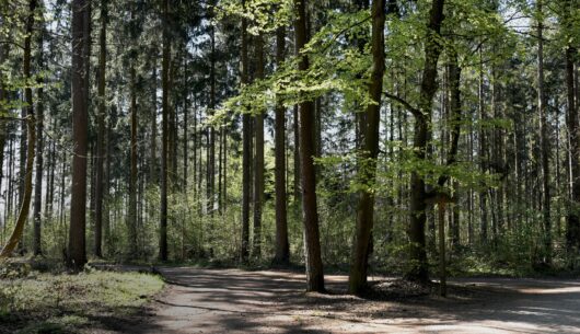 kupno działki na co zwrócić uwagę